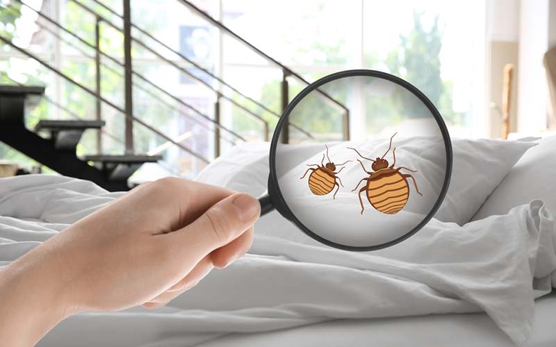 carpet cleaning in Bronx, carpet cleaner in Bronx, carpet cleaners in Bronx, carpet cleaners in Bronx, drapery cleaners in Bronx, carpet cleaning in Bronx, mattress cleaning in Bronx, mattress cleaners in Bronx, commercial carpet cleaning, commercial carpet cleaners in Bronx, Bronx rug cleaners, rug cleaning services in Bronx same day carpet cleaning, same day rug cleaning